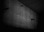 © Christoph Gödan c/o laif, Auschwitz - Fotografien aus dem Unsichtbaren