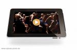 Der Boxer in One-Shot-Technik von 360ties/Dirk Blanke; ©360ties/Dirk Blanke