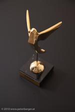 © 2010 www.peterberger.at