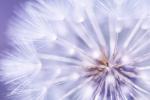 © iStock