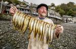 Guy Harrop, 'Herring Festival'