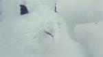 kommt bei Eis und Schnee auch gut zurecht: Schneehase