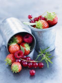 © Photocuisine/StockFood – Radvander