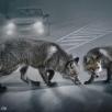 © Alexander von Reiswitz c/o Expose Photographers