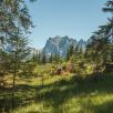 Österreich-Strecke von Katja Velmans c/o tschangizian photographers